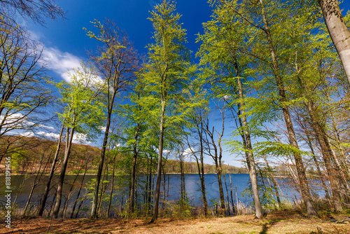 Fototapeta Naklejka Na Ścianę i Meble -  Pojezierze Drawskie