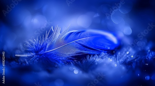  A blue feather in close-up against a blue and white background, illuminated by a soft bokeh of light
