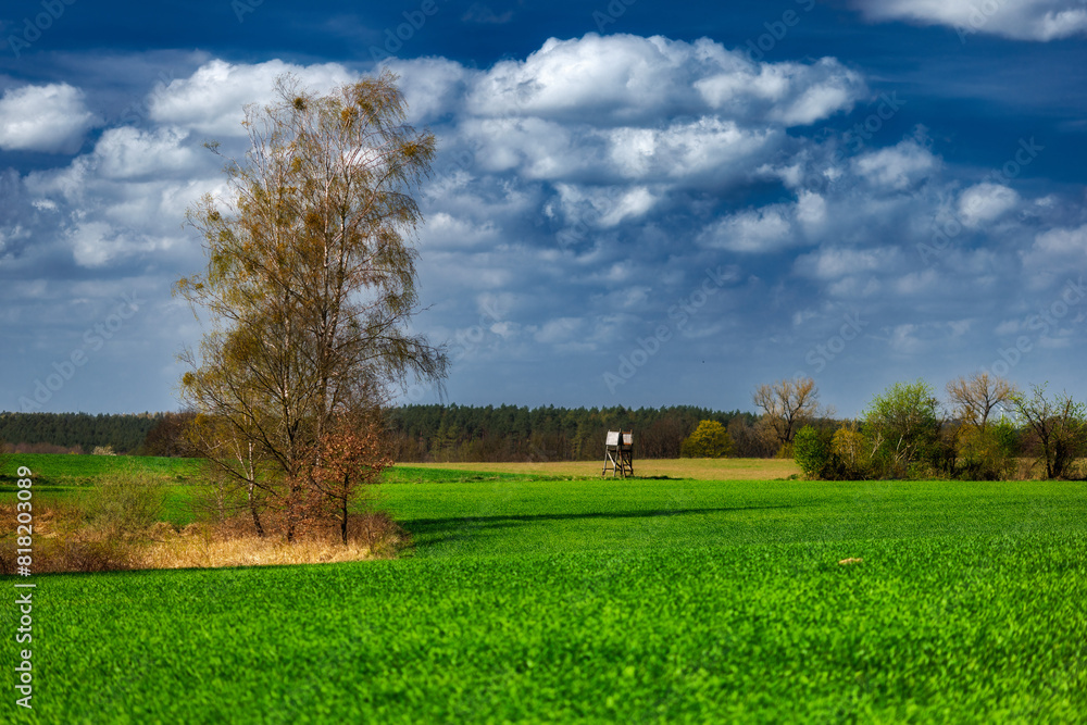 Obraz premium Krajobraz