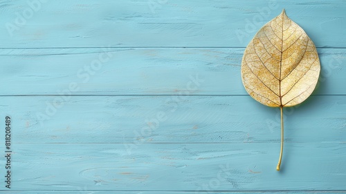  A yellow leaf on a blue wood floor, next to a green one Repeating on top of is redundant