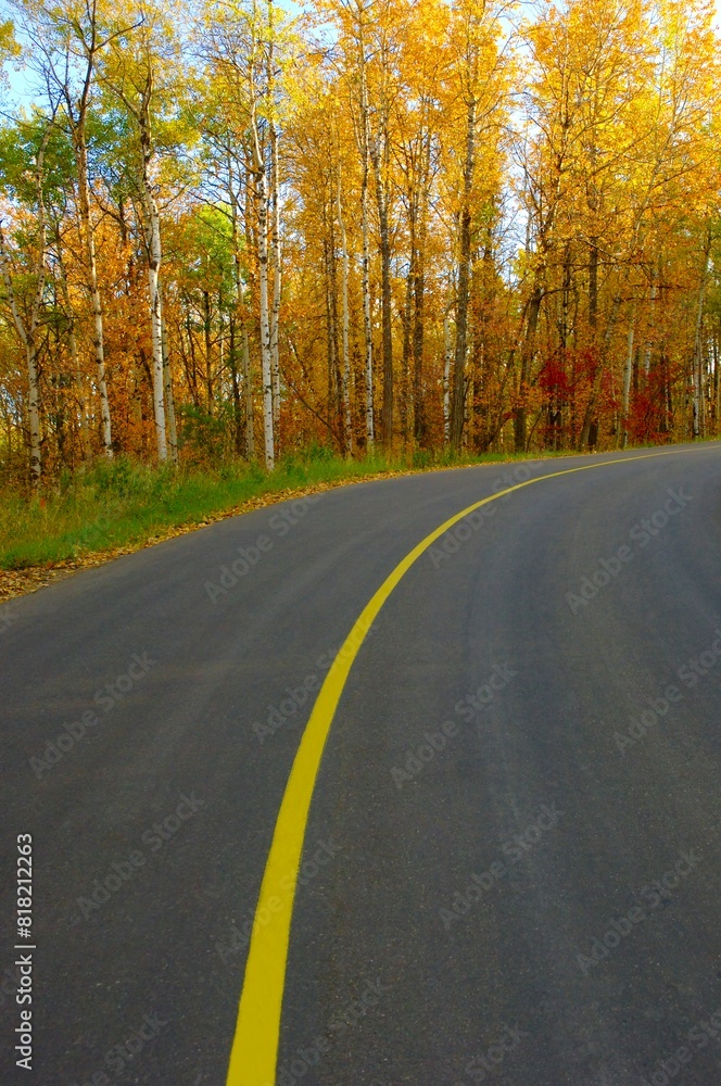 Fall Road