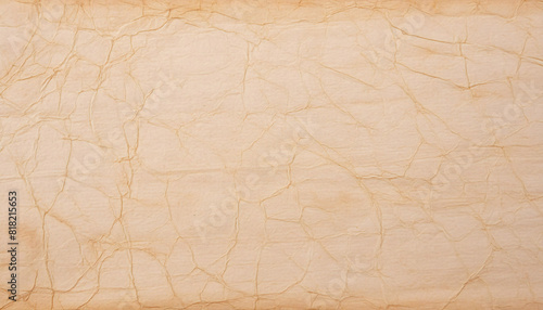 textured, cracked surface an old, weathered piece of paper or parchment, history, antique, artistic backgrounds.