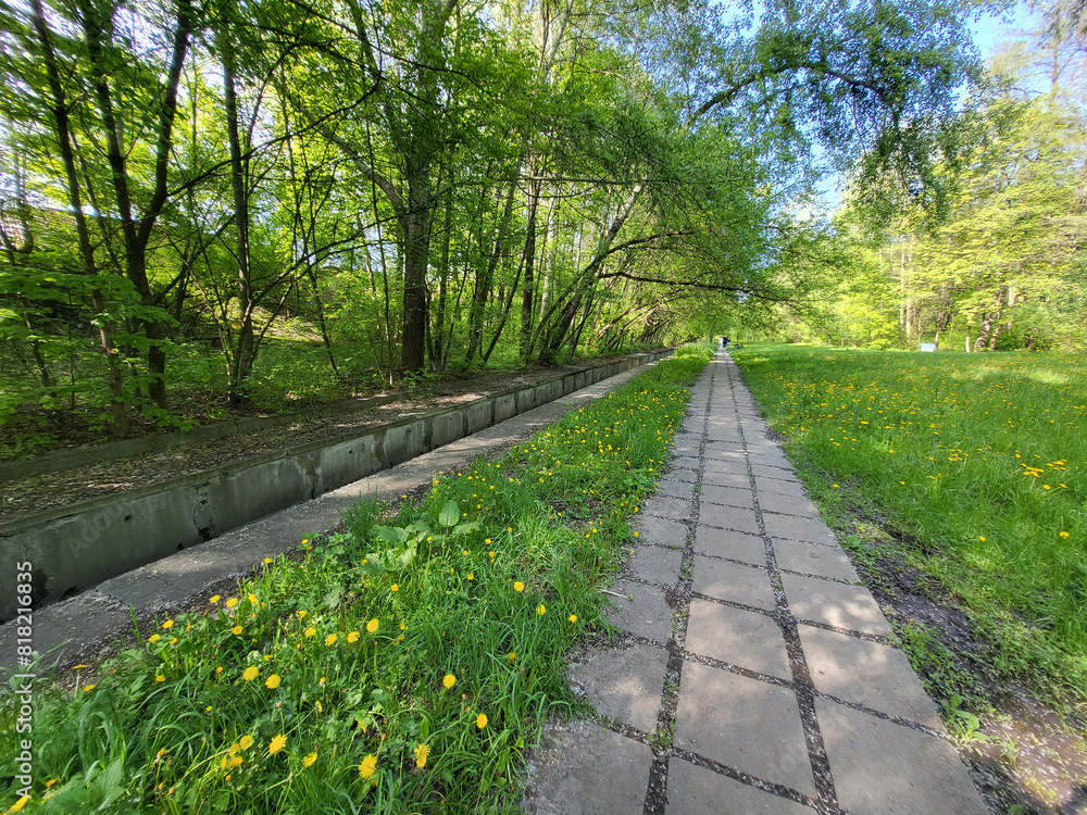 Fototapeta premium A long alley lined with concrete slabs in a green park on a sunny May day.