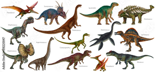 Dinosaur set. Dino illustration. Carnivores and herbivores. Allosaurus  Elasmosaurus  Compsognathus  Iguanodon  Plateosaurus  Spinosaurus  Pterodactyl  Ankylosaurus