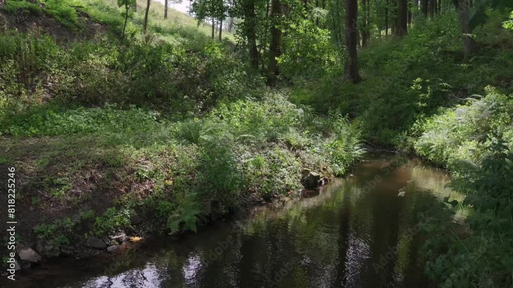 Small lake or pond with green summer forest. Small lake or pond with green summer forest.