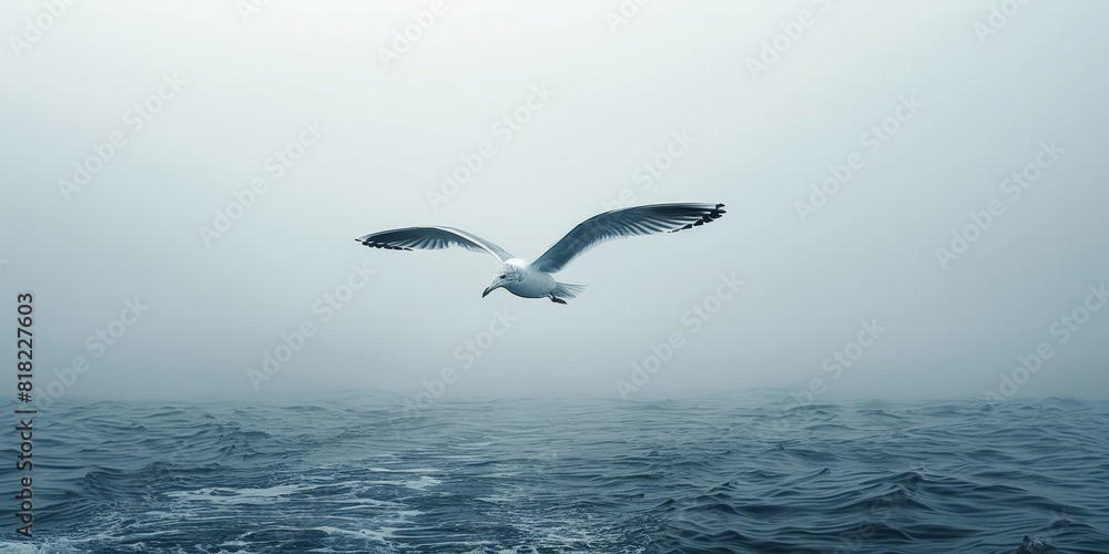A seagull flying over the ocean with negative space