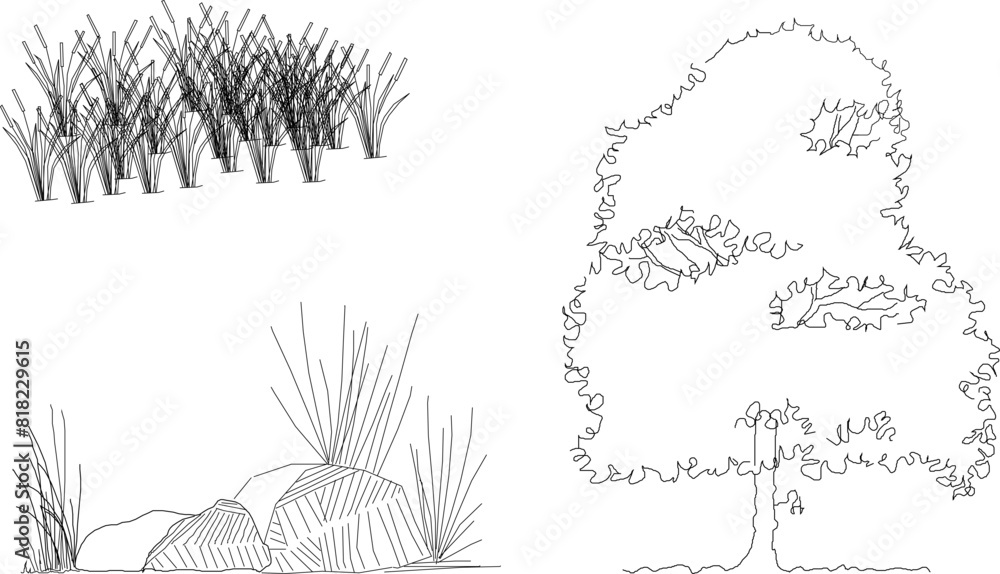 Artistic tree plant drawing design vector illustration sketch