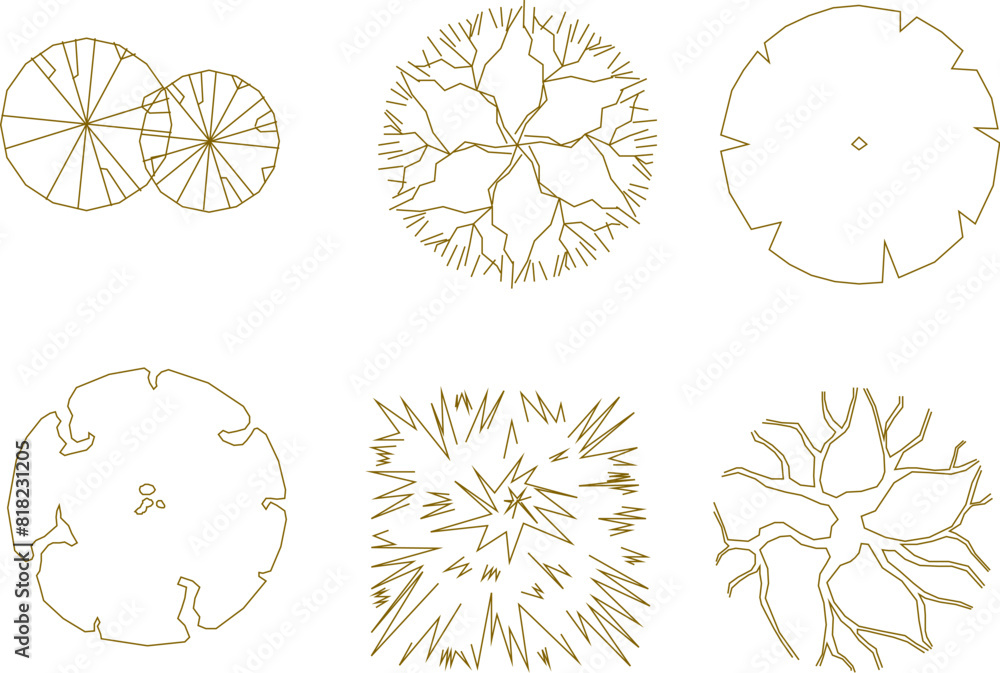 Vector illustration sketch of tree plant layout logo icon design seen from above for completeness of the plan Vector illustration sketch of tree plant layout logo icon design seen from above for completeness of the plan