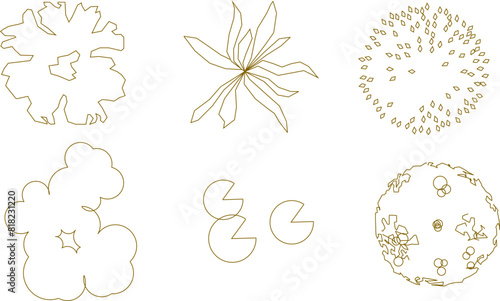 Vector illustration sketch of tree plant logo icon design seen from above for completeness of the plan
