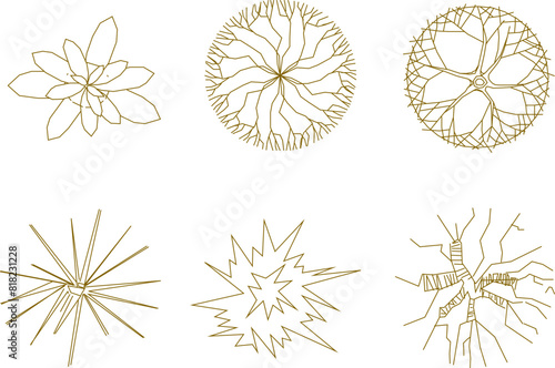 Vector illustration sketch of tree plant layout logo icon design seen from above for completeness of the plan