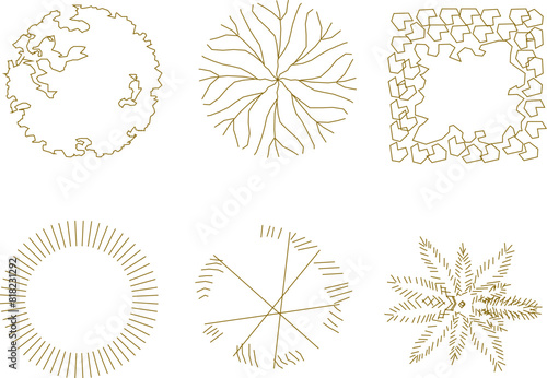 Vector illustration sketch of tree plant layout logo icon design seen from above for completeness of the plan