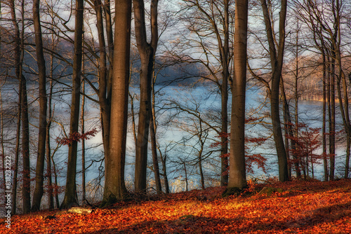 Fototapeta Naklejka Na Ścianę i Meble -  Jesień nad jeziorem