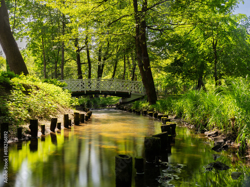 Bridge over the river in Sopot Park on a sunny day