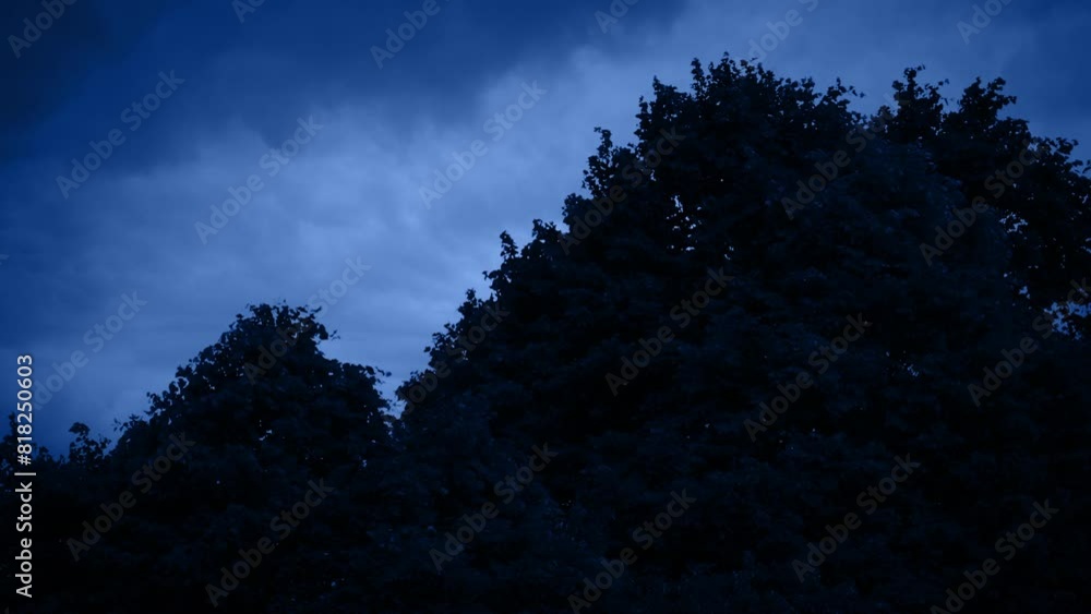 Lightning Behind The Tree Tops At Night
Lightning Behind The Tree Tops At Night