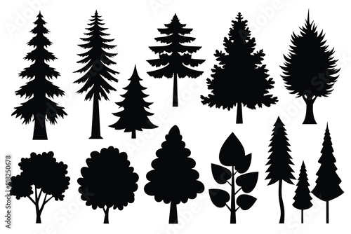 Set of tree outdoor travel silhouette coniferous natural badges  tops pine spruce branch cedar and plant leaf abstract stem drawing vector