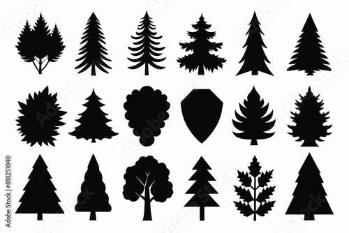 Set of tree outdoor travel silhouette coniferous natural badges, tops pine spruce branch cedar and plant leaf abstract stem drawing vector