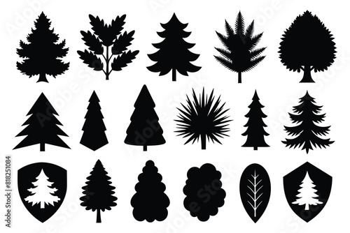 Set of tree outdoor travel silhouette coniferous natural badges, tops pine spruce branch cedar and plant leaf abstract stem drawing vector
