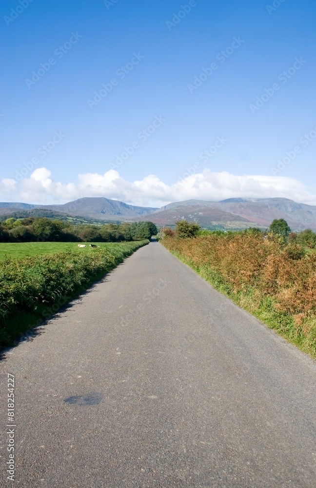 Fototapeta premium Comeragh Mountains, County Waterford, Ireland, Near Mahon Bridge