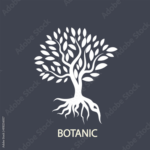 Abstract tree logo design.Natural plant emblem. nature icon, Tree of life symbol. botanic Vector illustration.Eps 10.