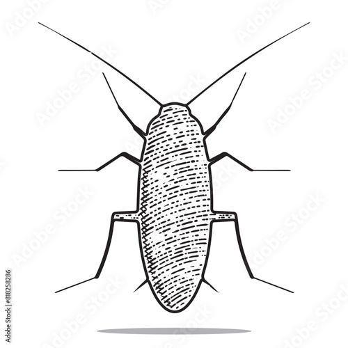 cockroach icon vector engraving style hand drawn element black and white