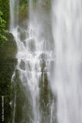 Waterfall In The Forest