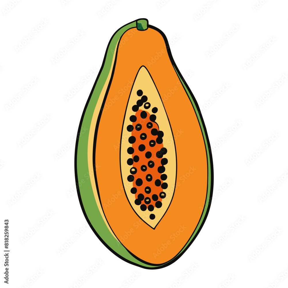 illustration of an fruit illustration of an fruit