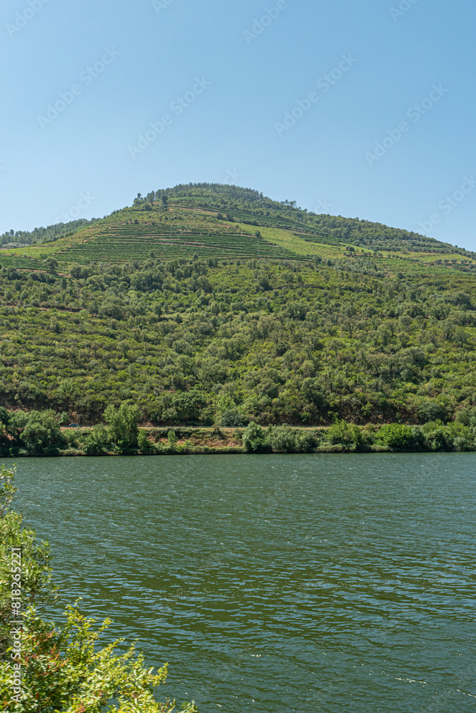 Landscape of the Douro river region in Portugal - Vineyards