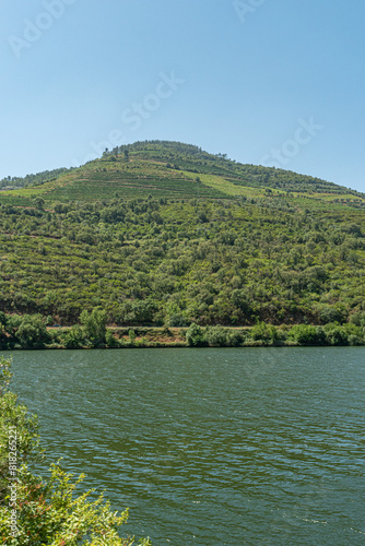 Landscape of the Douro river region in Portugal - Vineyards