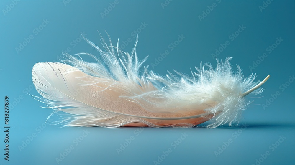 Close-up of a delicate, white feather lying on a soft blue background, capturing the intricate details and lightness of its texture. Close-up of a delicate, white feather lying on a soft blue background, capturing the intricate details and lightness of its texture.