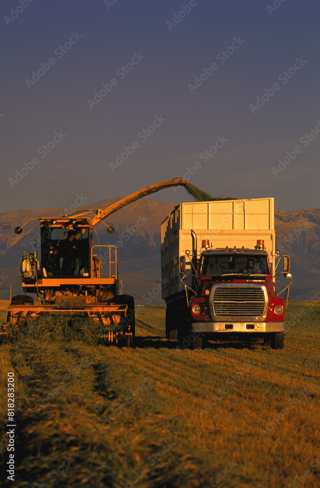 Combine And Truck Harvesting Crop