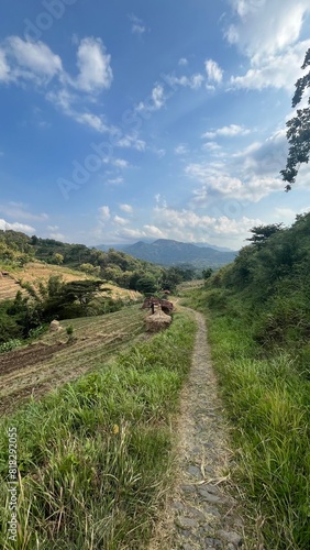 path to the mountain