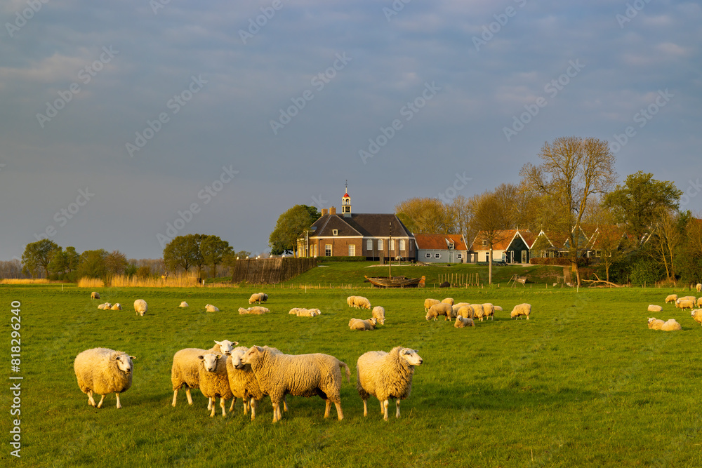 Fototapeta premium Former island of Schokland, UNESCO World Heritage Site, Netherlands