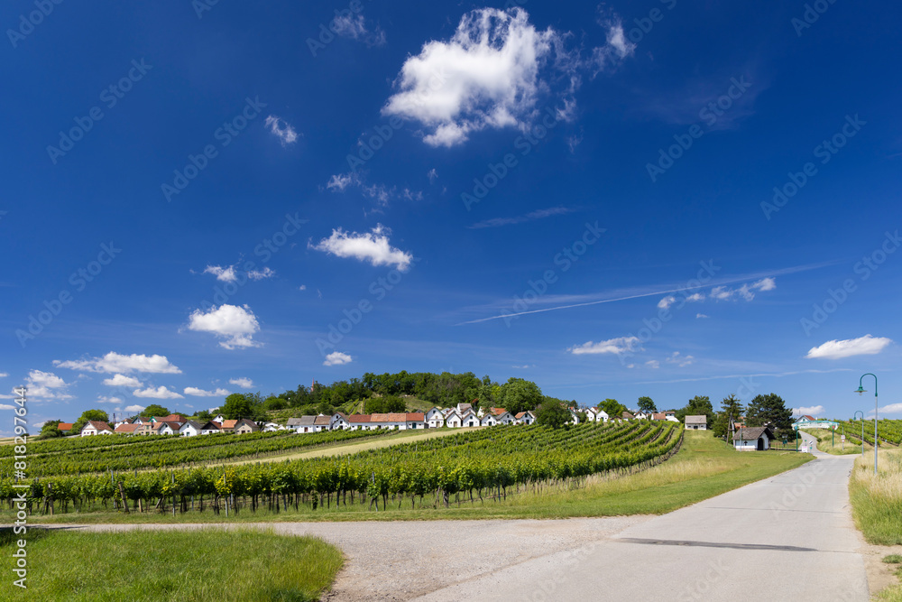 Fototapeta premium Traditional wine cellars with vineyard in Galgenberg near Wildendurnbach, Lower Austria, Austria