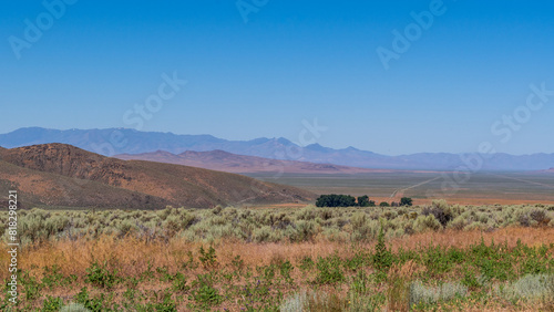 Summer Valley Landscape, Nevada, USA