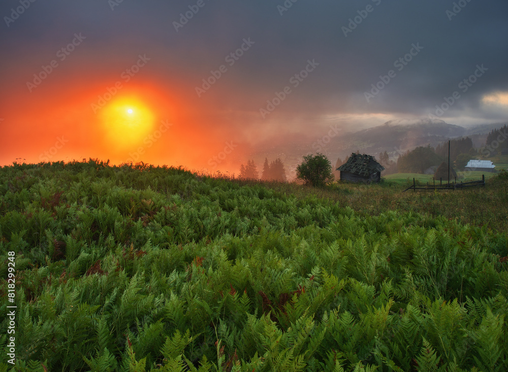 Foggy morning in the mountains. Summer dawn in the Carpathians. Nature of Ukraine
