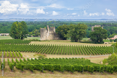 Budos castle (Chateau de Budos) in Sauternes wine region, Gironde departement, Aquitaine, France photo