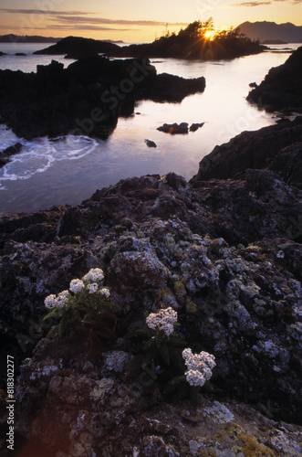 Queen Charlotte Islands © Designpics