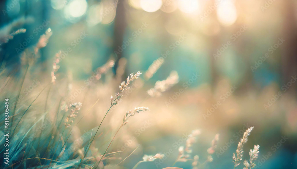 A large beautiful field with many wild plants, herbs. Vintage pastel colors. Summer landscape at sunset during golden hour. Background with empty space for text. Generative AI A large beautiful field with many wild plants, herbs. Vintage pastel colors. Summer landscape at sunset during golden hour. Background with empty space for text. Generative AI