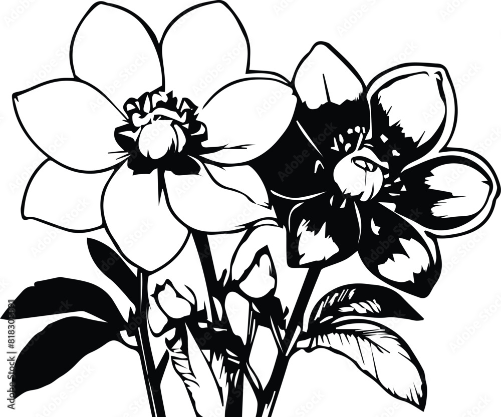 Obraz premium Hellebores flower - Lenten rose silhouette, logo, Clipart | Bouquet Clipart | Flower Illustrations | Hellebores Vector Illustrations | Flower clipart DXF, EPS, PNG, JPG, EPS Instant digital downloads