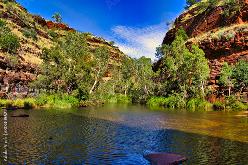 Cool pool, flanked by red, iron-rich rocks and green eucalyptus trees, a lush oasis in the arid desert of Karijini National park, Hamersley Range, Western Australia
 photo