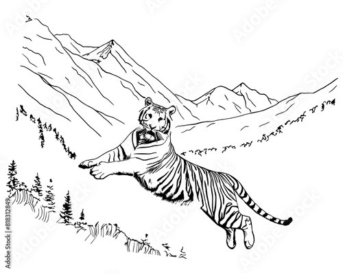 Vector of a tiger jumping high looking at the camera and mountains in the background of the scene.