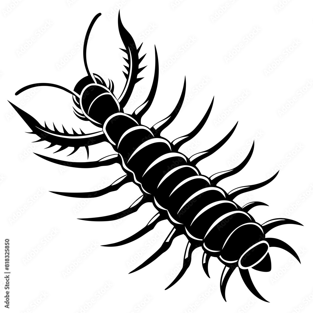Obraz premium centipede silhouette vector