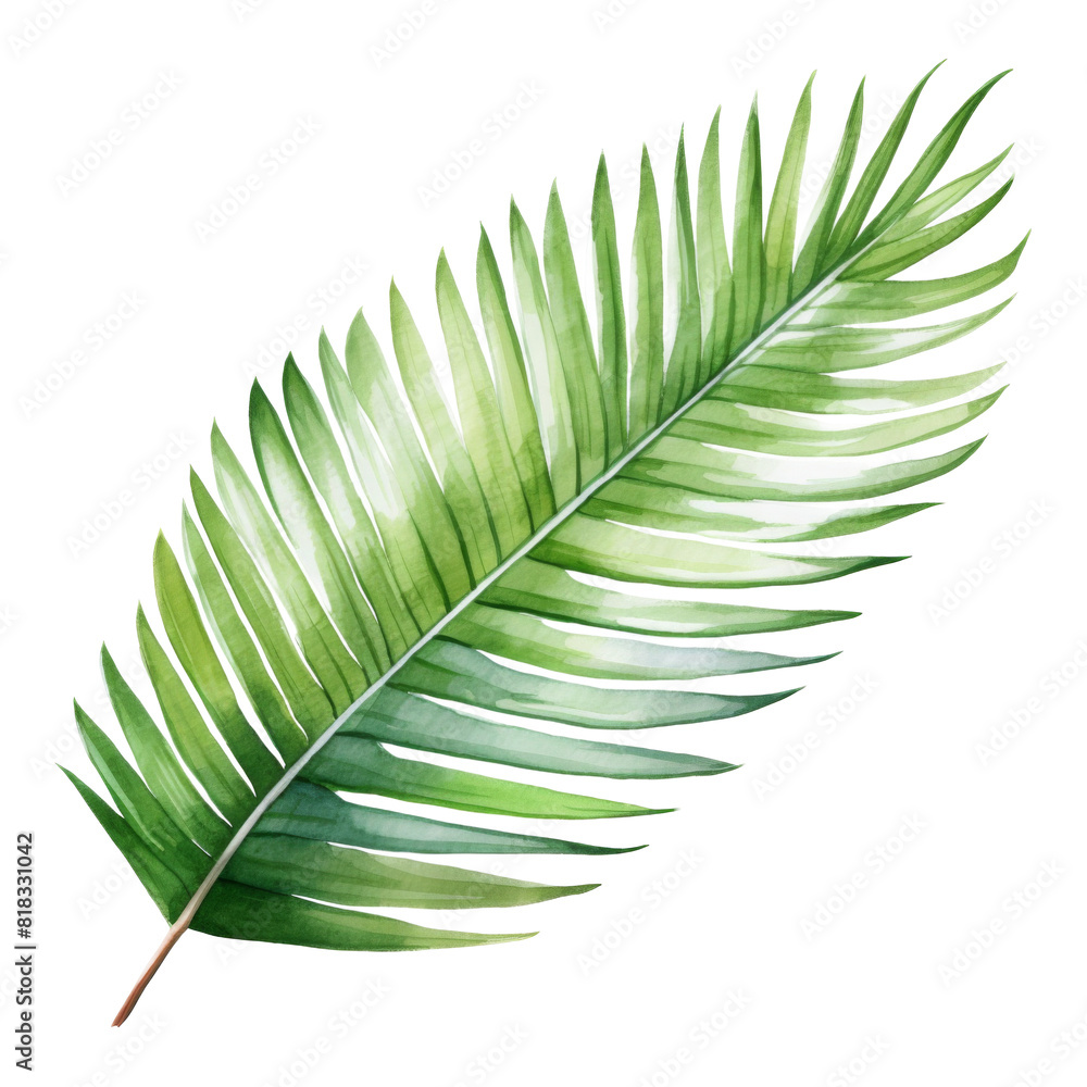 Fototapeta premium Coconut Leaf, Tropical Leaf Illustration. Watercolor Style. AI Generated
