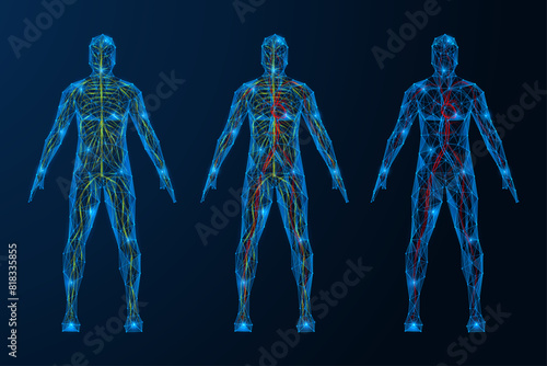 Human circulatory and nervous system. Polygonal design of lines and dots. Blue background.