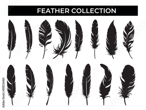 Collection of Black Feathers on White Background