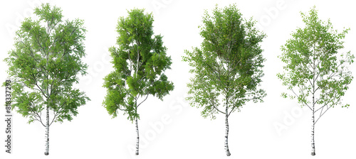 Tropics lush trees shapes for landscaped on transparent backgrounds 3d illustrations png 