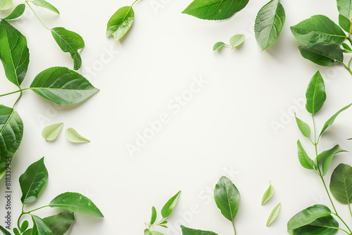 Green plant with leaves on white background, perfect for botanical designs, nature concepts, health and wellness graphics, or environmental themes.