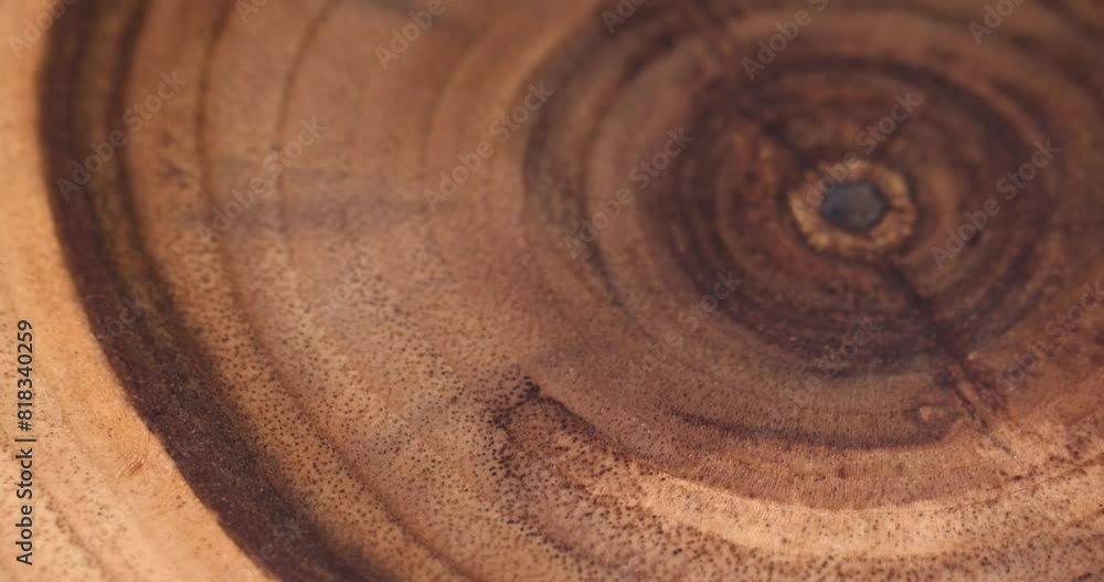 a beautiful cut of a walnut tree processed for decoration and use, a cut of a walnut tree with annual rings a beautiful cut of a walnut tree processed for decoration and use, a cut of a walnut tree with annual rings