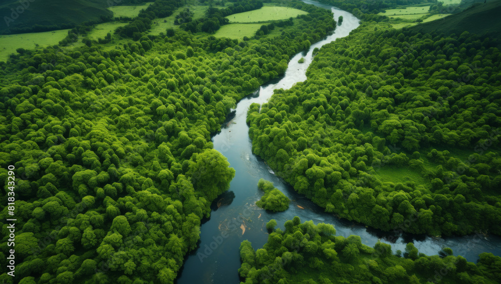 River and green forest in Tuchola natural park, aerial view