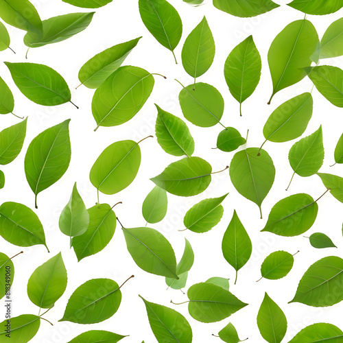 Tree leaves on white background, Generative AI